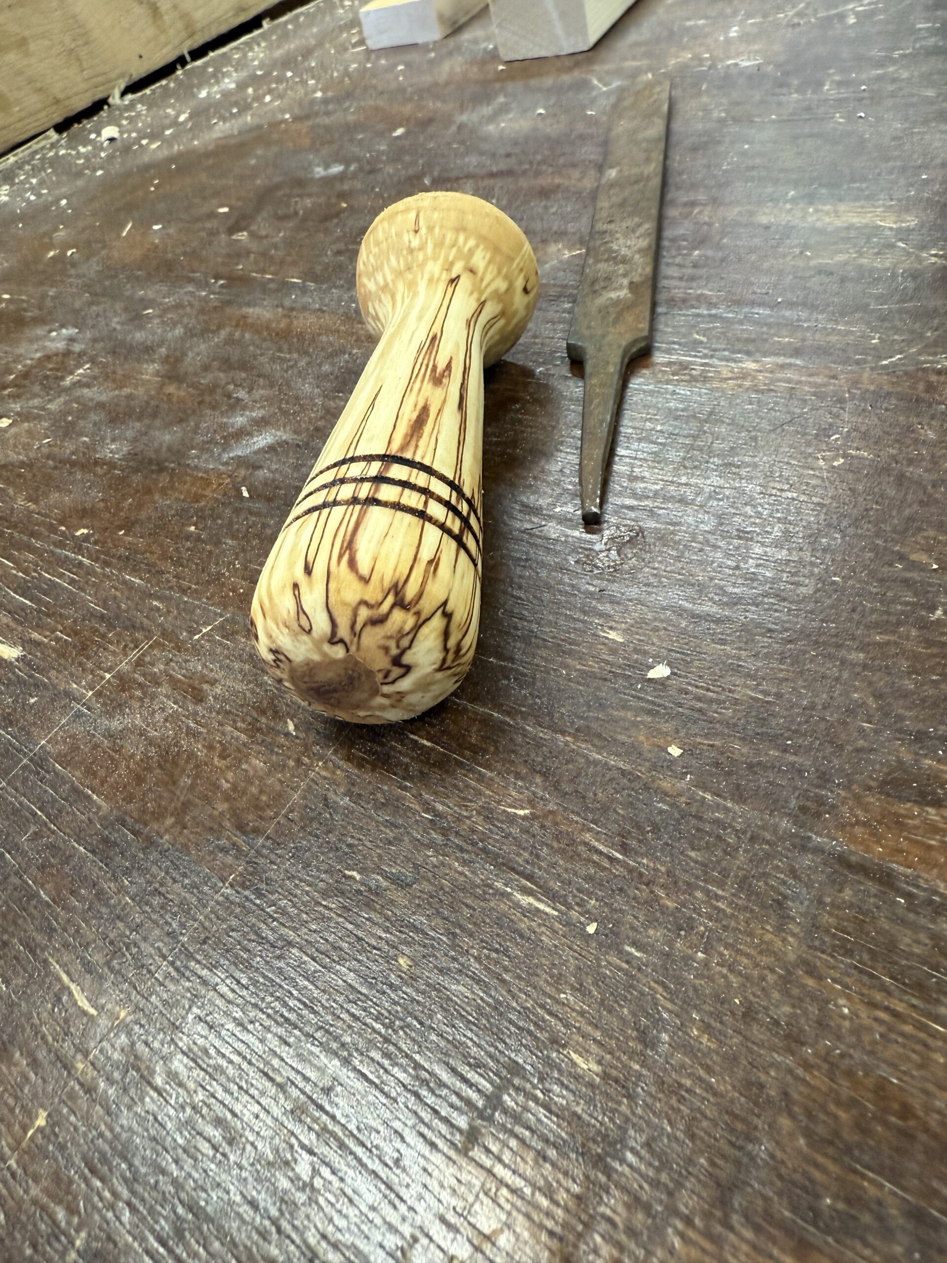 treimise koolitus algajale ja huvilisele (2h)