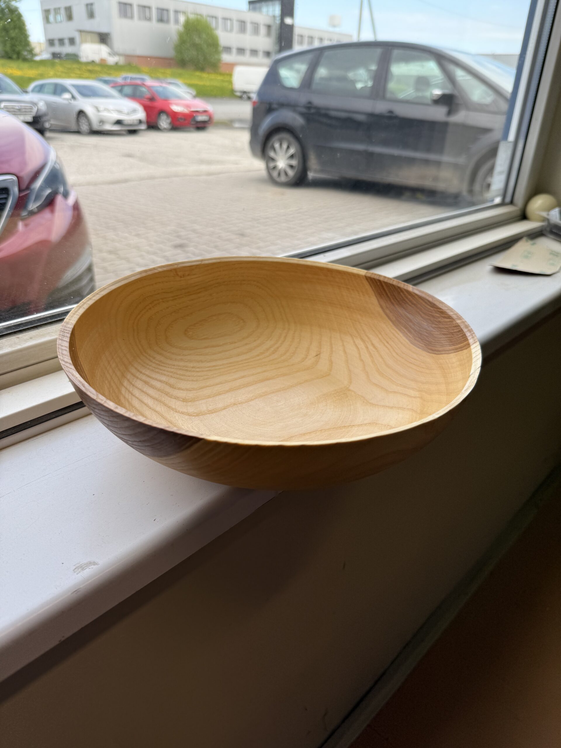 treimise koolitus algajale ja huvilisele (2h)