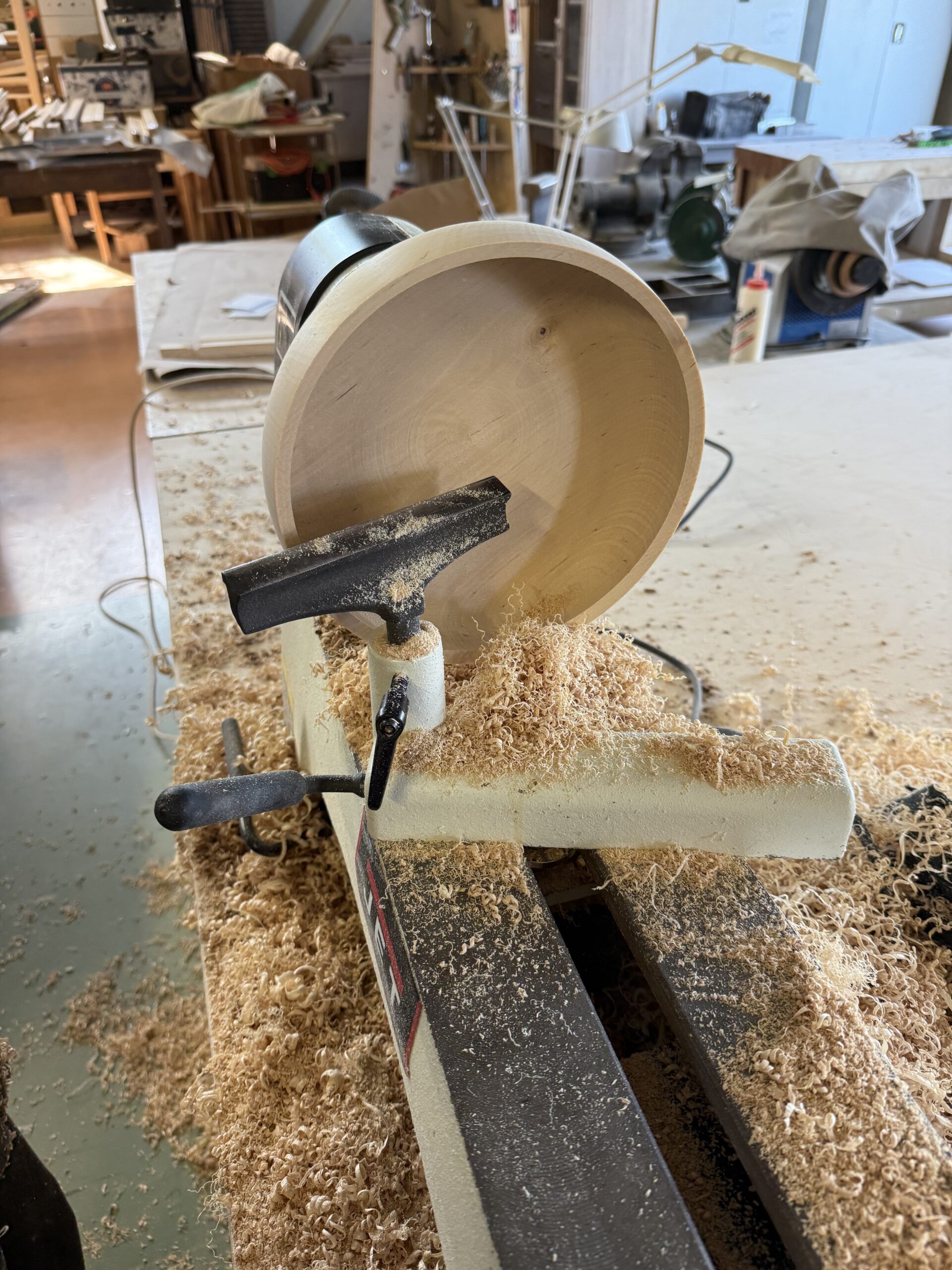 treimise koolitus algajale ja huvilisele (2h)