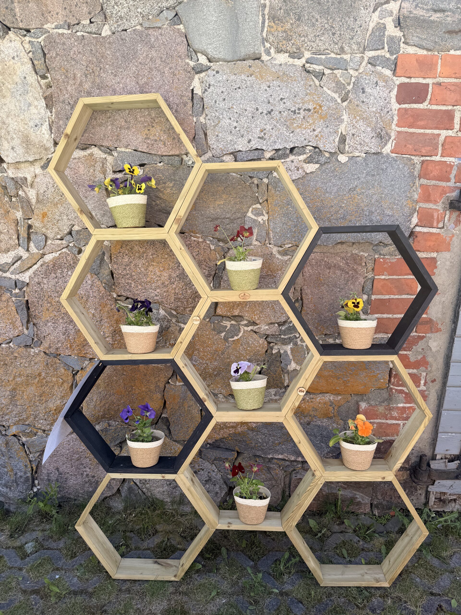 hexagon taimesein – loo oma lille ja ürdisein