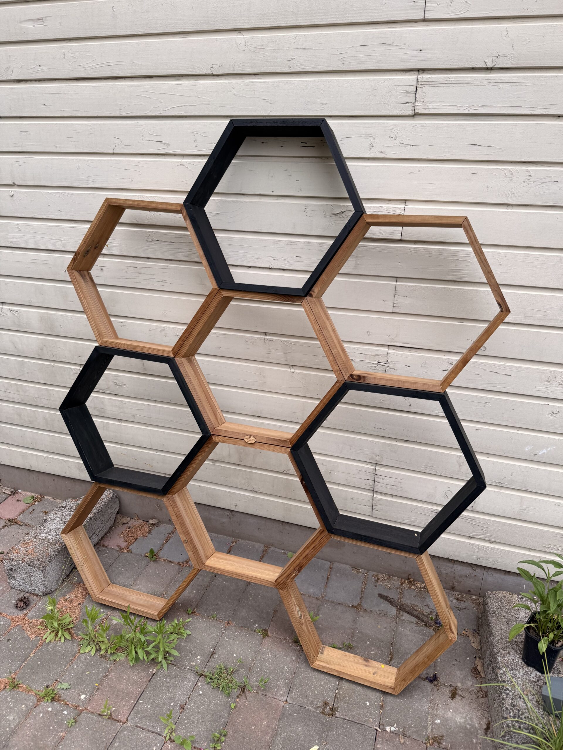 hexagon taimesein – loo oma lille ja ürdisein