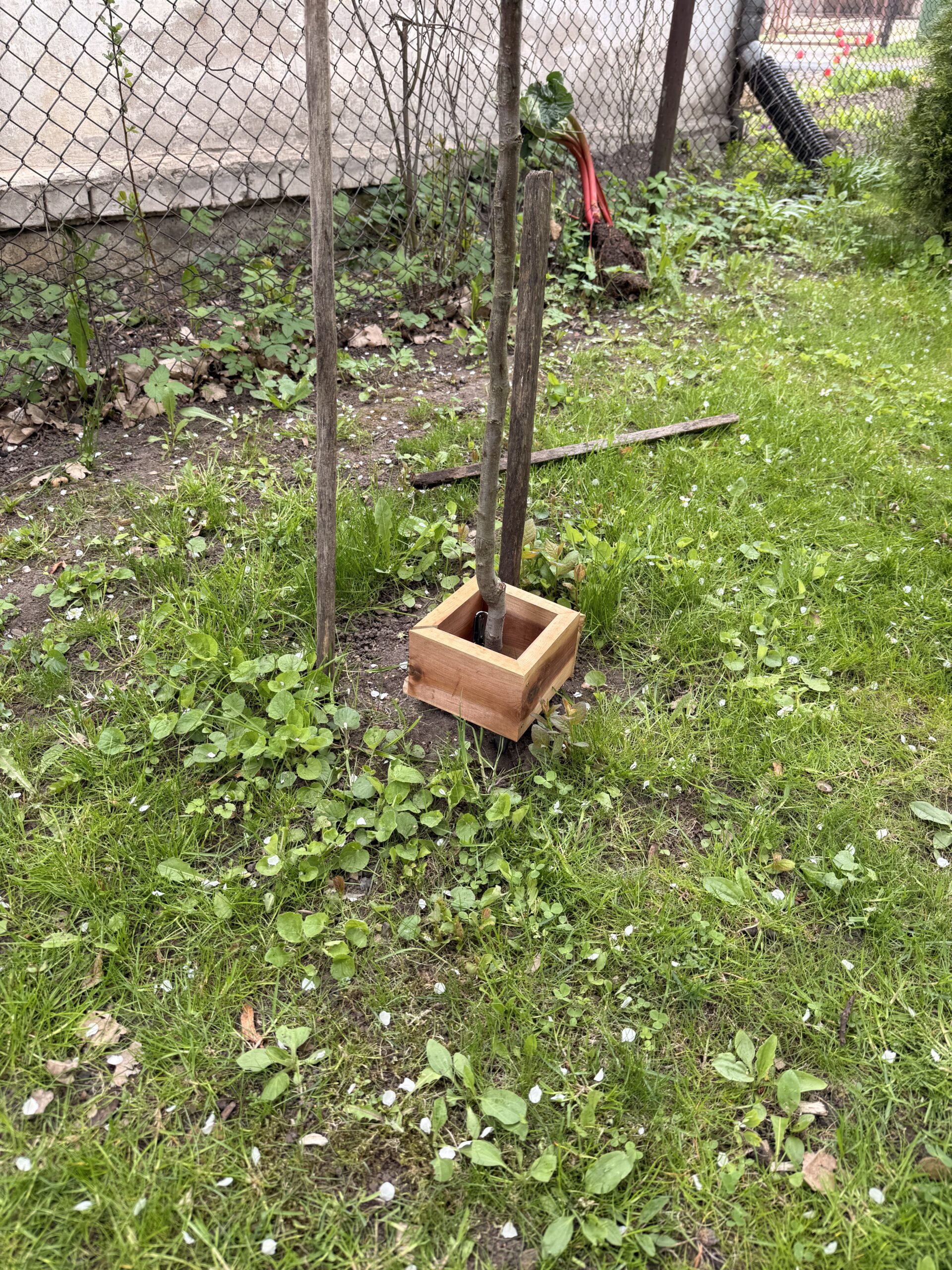 taaskasutatud puidust istikukaitse / robotniiduki kaitse immutatud puit taaskasutatud puidust istikukaitse / robotniiduki kaitse immutatud puit